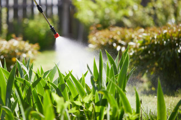 24/7 Emergency Termite Control experts in Templeton, CA